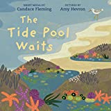 The Tide Pool Waits