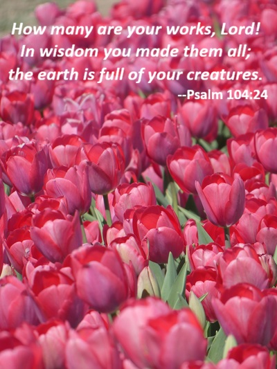 Psalm 146:5