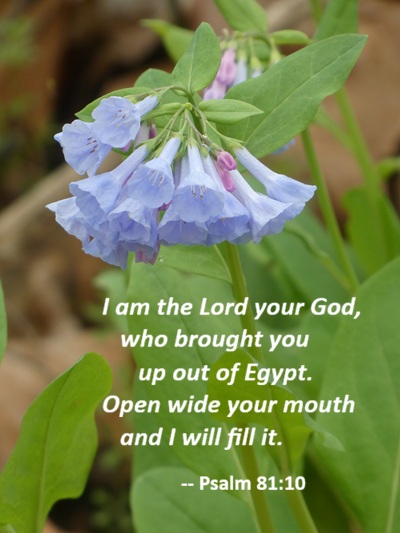 Psalm 72:4
